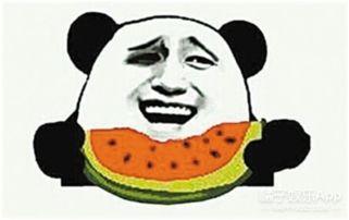 墨尔本梗吃瓜群众,揭秘吃瓜群众的欢乐盛宴