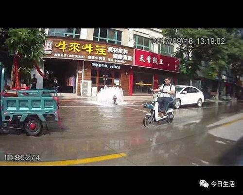 老卢吃瓜,揭秘娱乐圈幕后故事