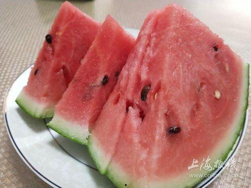 上海吃瓜喝酒,吃瓜喝酒，品味上海滩的市井生活