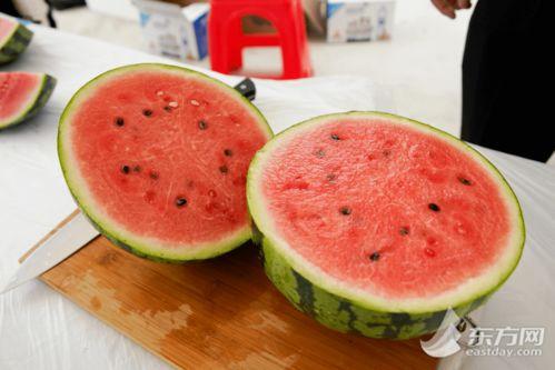 上海吃瓜喝酒,吃瓜喝酒，品味上海滩的市井生活