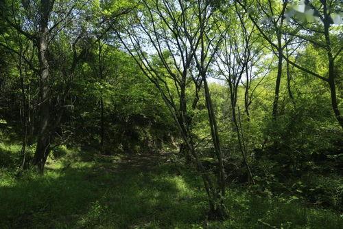 风景如画吃瓜,探寻人间仙境的夏日美味之旅