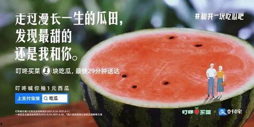 躺在瓜田里吃瓜,躺卧瓜田，尽享夏日清凉