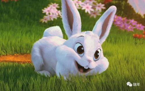 兔子躺在地里吃瓜,享受夏日瓜果盛宴