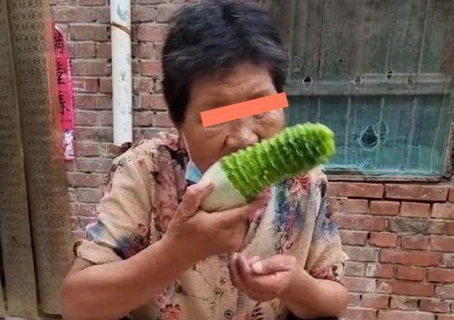 儿媳吃婆婆瓜,儿媳吃婆婆瓜的温馨故事