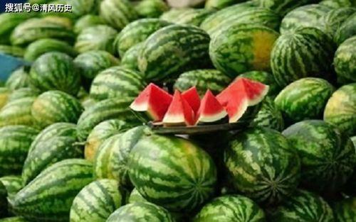 吃瓜网都有哪些,热门话题背后的娱乐盛宴