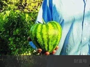 中财吃瓜,揭秘财经圈那些不为人知的幕后故事