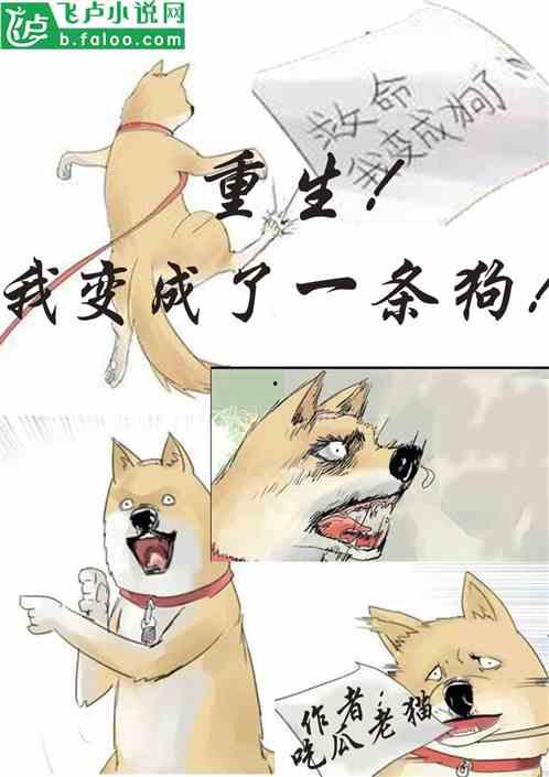 呱呱吃瓜小说免费阅读,揭秘网络小说世界的免费阅读奥秘