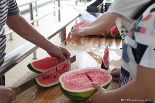 烟台画室 吃瓜,吃瓜群众眼中的艺术盛宴