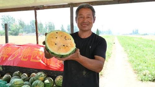 老王吃瓜不吐皮,揭秘瓜界奇人独门秘技