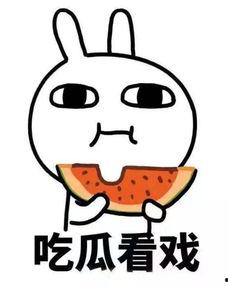 小言吃瓜,揭秘娱乐圈那些不为人知的幕后故事