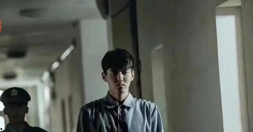 惊悚吃瓜事件,揭秘网络事件背后的真相与悬疑