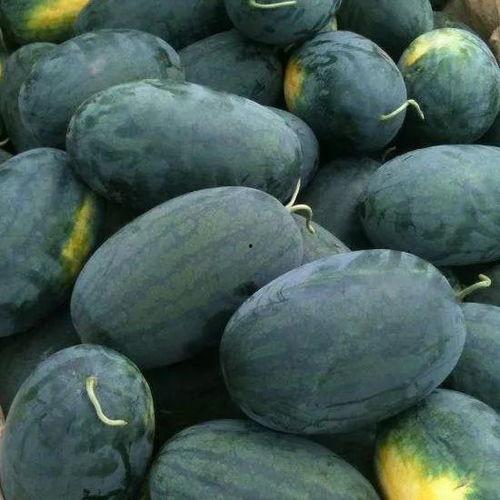 武汉工商吃瓜,吃瓜群众揭秘背后真相