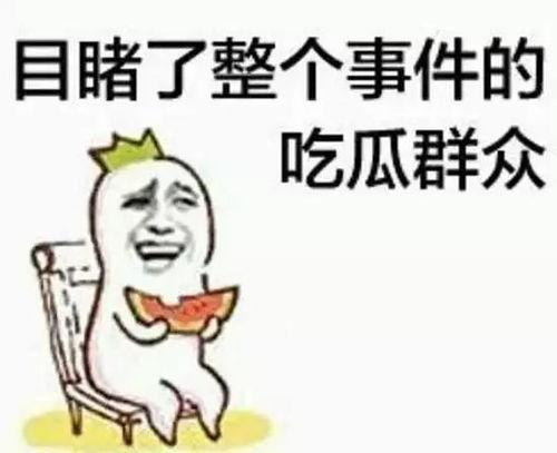 吃瓜群众阿尼亚,揭秘娱乐圈那些事儿