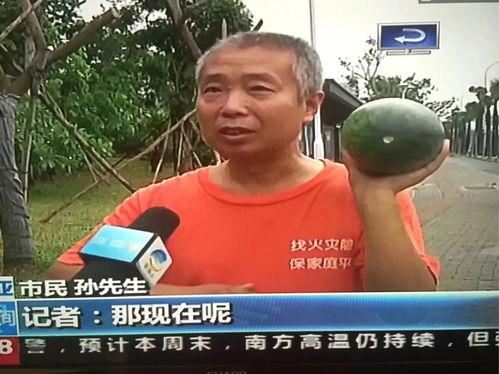 情侣吃瓜热门事件