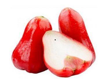 莲雾吃瓜作者,揭秘网络红人的幕后故事