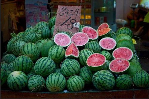 库尔勒吃瓜头条,揭秘瓜乡新鲜事，带你领略瓜乡魅力