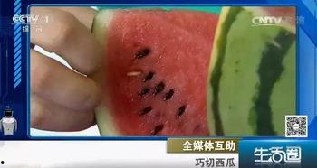 儿童吃瓜不吐籽
