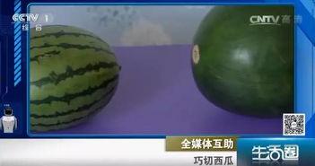 儿童吃瓜不吐籽