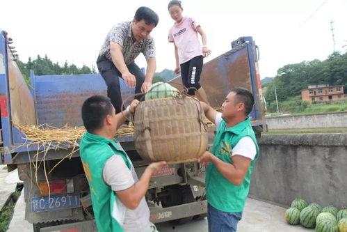 温暖的一群吃瓜的群众,共度欢乐时光