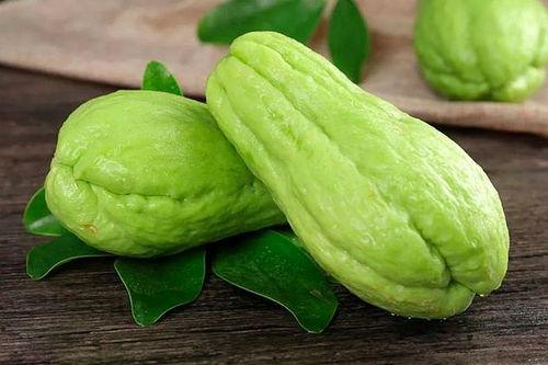 生瓜种子可以吃吗,能否食用及其营养价值探讨