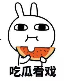 吃瓜的太拽了
