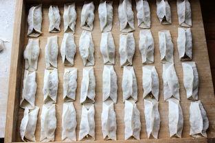 葫芦瓜猪肉怎样吃,葫芦瓜猪肉的多样美味烹饪法