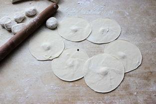 葫芦瓜猪肉怎样吃,葫芦瓜猪肉的多样美味烹饪法