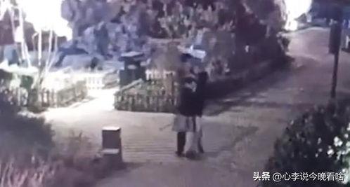 停下吃瓜视频,揭秘“停下吃瓜”视频背后的热门现象