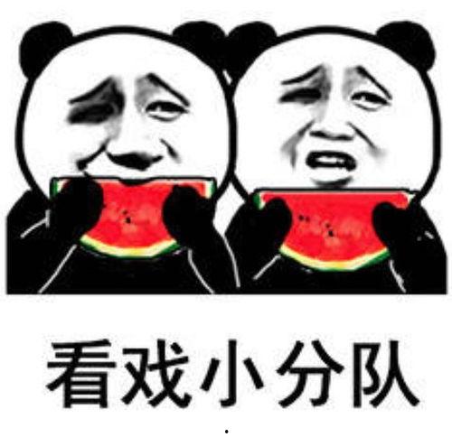 吃瓜表情包2025,趣味横生的网络文化现象解析