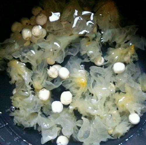 梦见吃匏瓜,揭秘吃匏瓜的神秘寓意