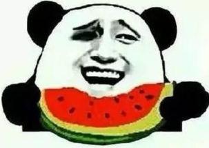 狗头君吃瓜群众,揭秘娱乐圈幕后风云