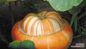 吃瓜最近震惊三观的瓜,三观尽毁！