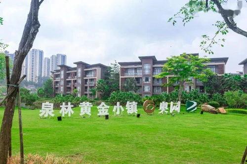 吃瓜江门初中,揭秘初中生校园生活点滴