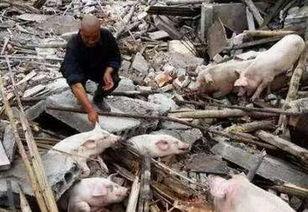 吃瓜被活埋,一场活埋的惊悚历险