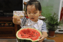 吃瓜群众成长,成长之路的蜕变与思考