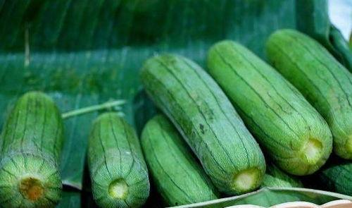 每日吃瓜有哪些