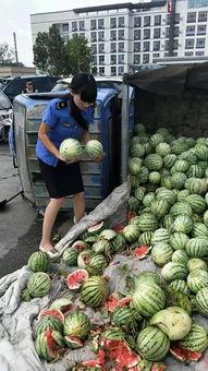 张大姐免费吃瓜,揭秘娱乐圈幕后故事