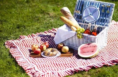 野餐兔吃瓜网站,揭秘夏日美食新潮流