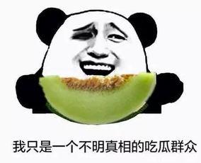 吃瓜不错的句子