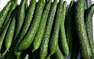 减肥可以吃丰田瓜嘛