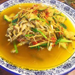 猫儿吃瓜,揭秘猫咪的夏日美食偏好