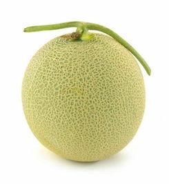 做梦吃哈密瓜很甜,哈密瓜的奇幻之旅