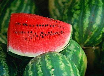 怀孕可以吃芦瓜