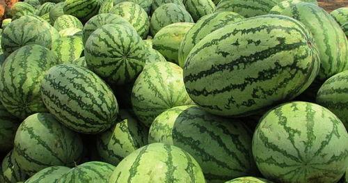 梦见切大瓜吃,切瓜解谜，探寻梦境中的美食奥秘