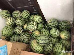 一瓜未平的吃瓜视频,揭秘吃瓜视频背后的真相