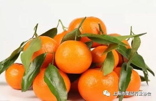 大橘子直播吃瓜