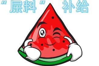 吃瓜现场配图,吃瓜群众围观大事件