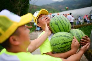 吃瓜现场配图,吃瓜群众围观大事件