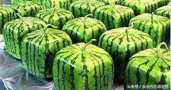 五十万吃瓜,揭秘娱乐圈幕后真相