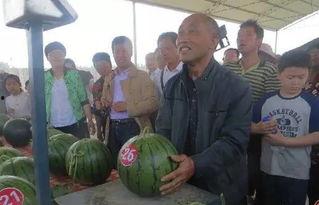 阳光依旧吃瓜群众,吃瓜群众见证时代变迁